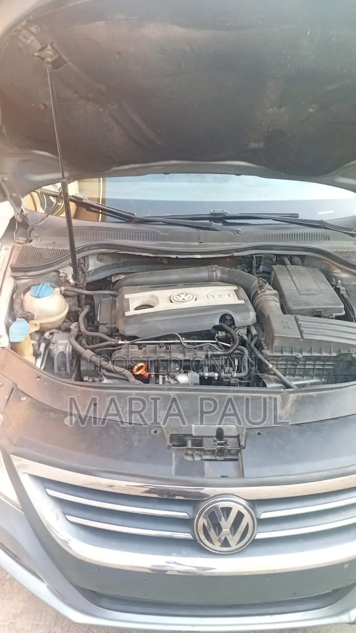Volkswagen Passat 2011 Blue