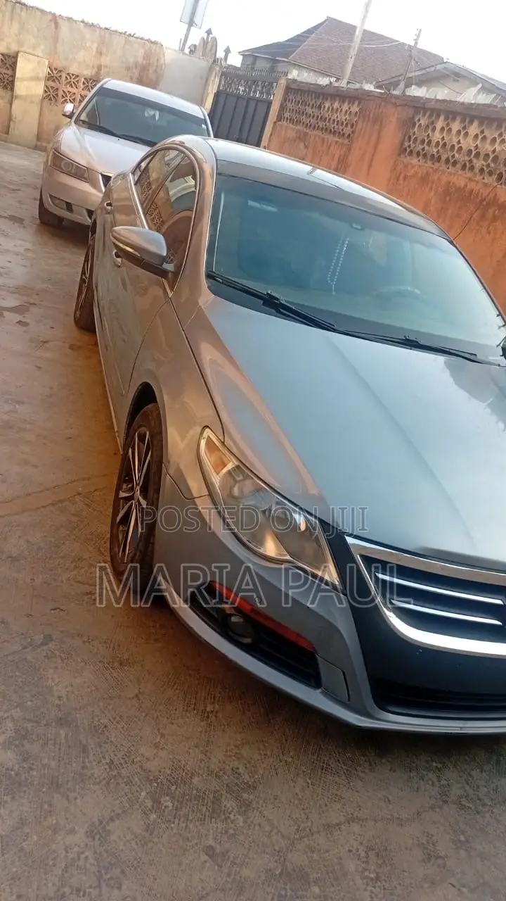 Volkswagen Passat 2011 Blue