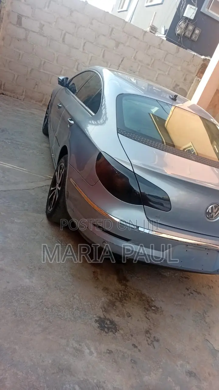 Volkswagen Passat 2011 Blue