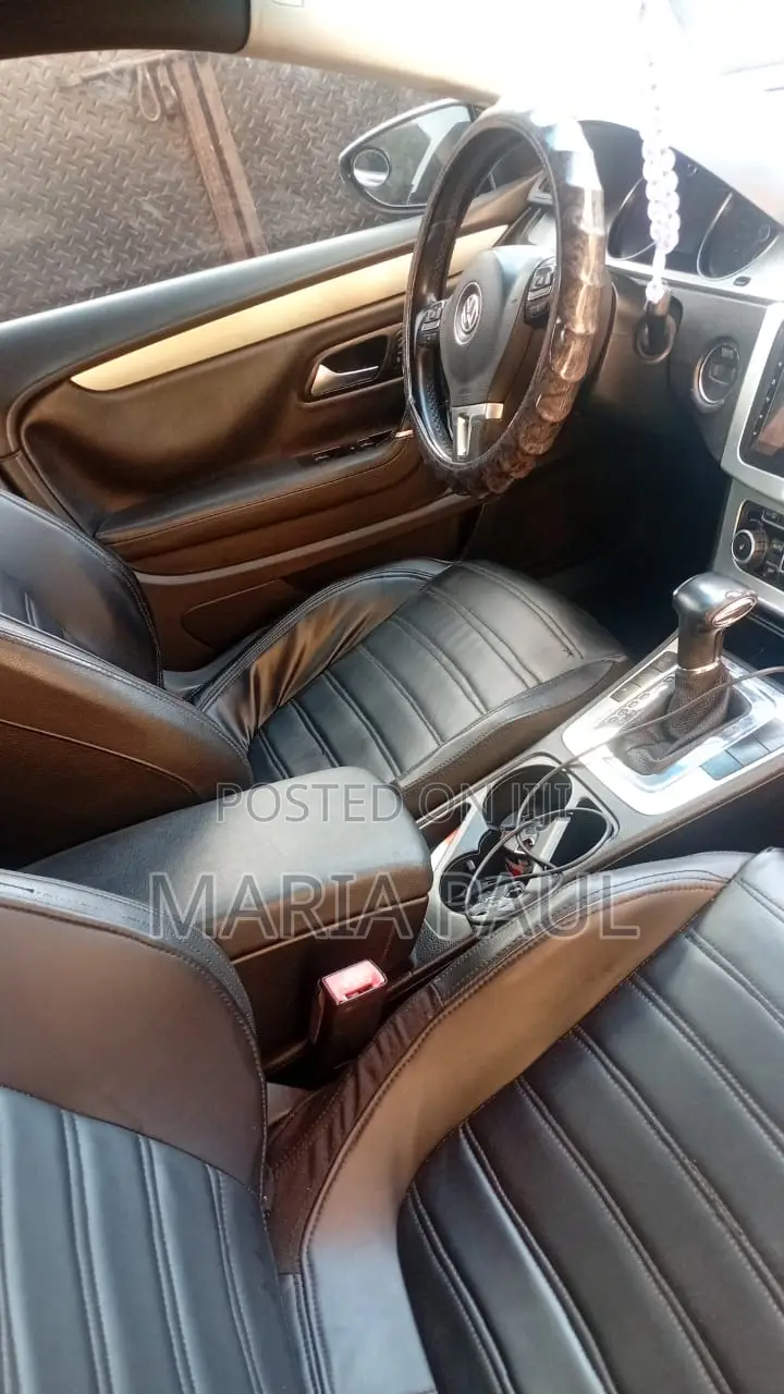 Volkswagen Passat 2011 Blue