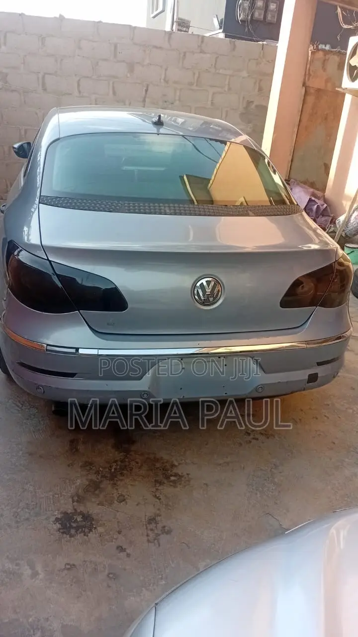 Volkswagen Passat 2011 Blue