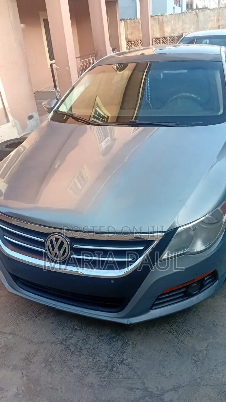 Volkswagen Passat 2011 Blue