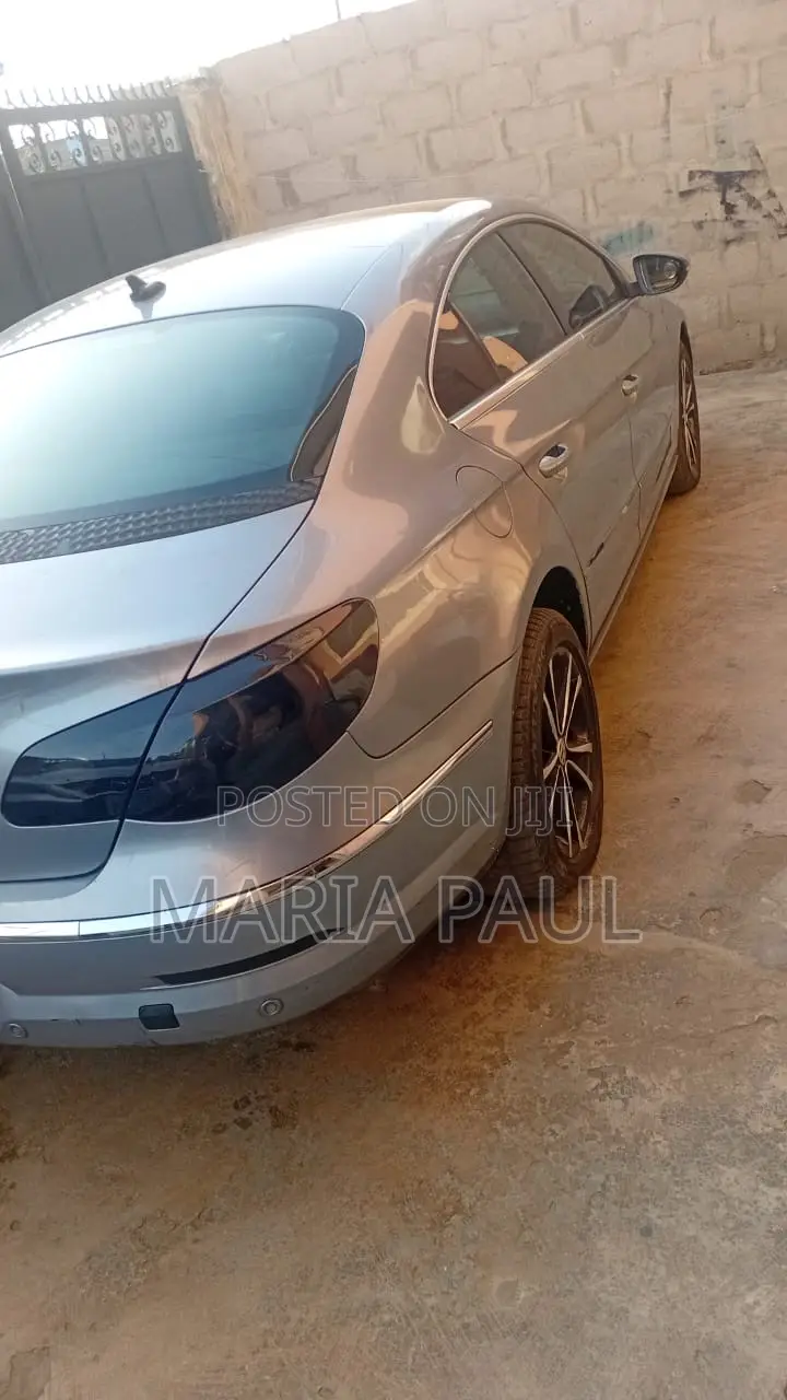 Volkswagen Passat 2011 Blue