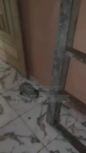 Mini Flat in Adekunle for rent