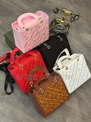 Dior Luxury Bag