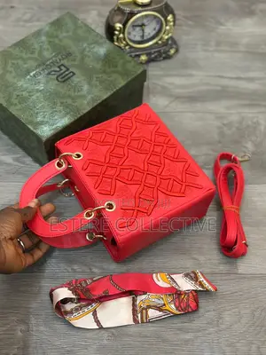 Dior Luxury Bag