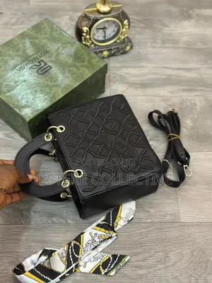 Dior Luxury Bag