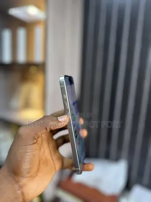 Apple iPhone 15 Pro Max 256 GB