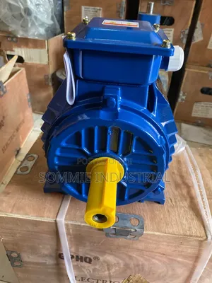 Electric Motor