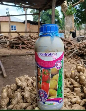 Agrochemicals for Your Ginger Farm