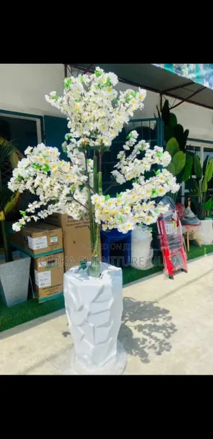Interior Flower Plants