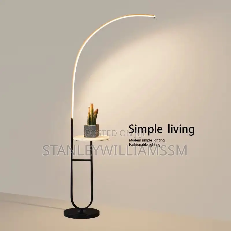 Standing Lamp Light