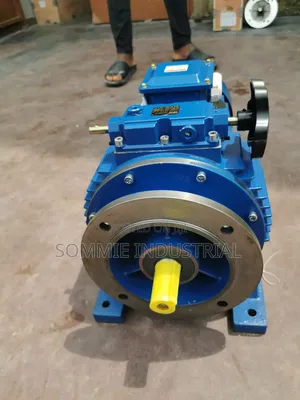Variable Motor