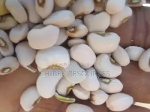 30 Big Painta Potasco Beans