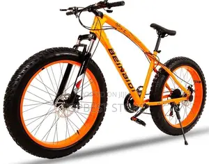 Best Quality Adult Bicycle