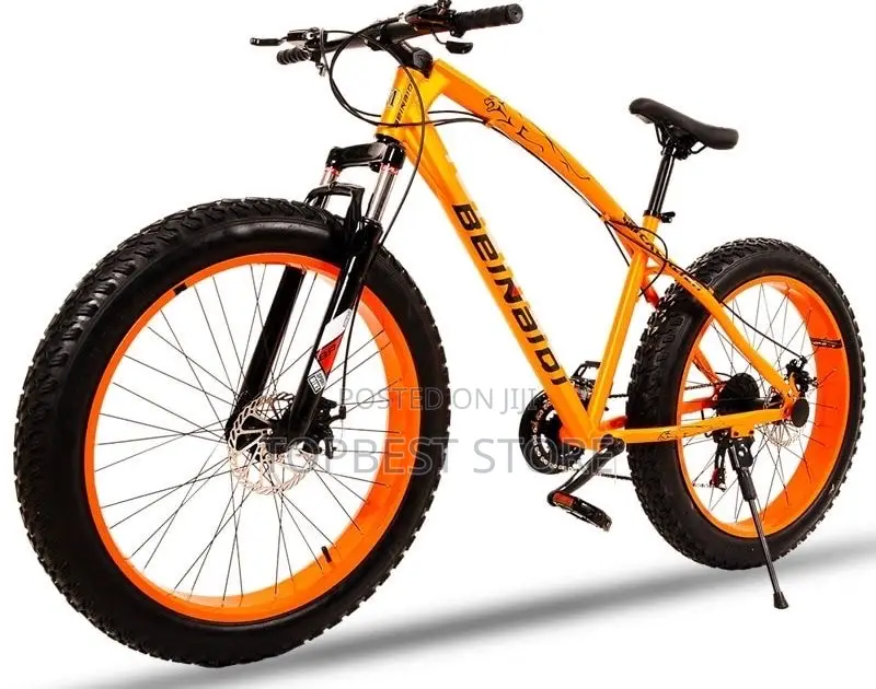 Best Quality Adult Bicycle