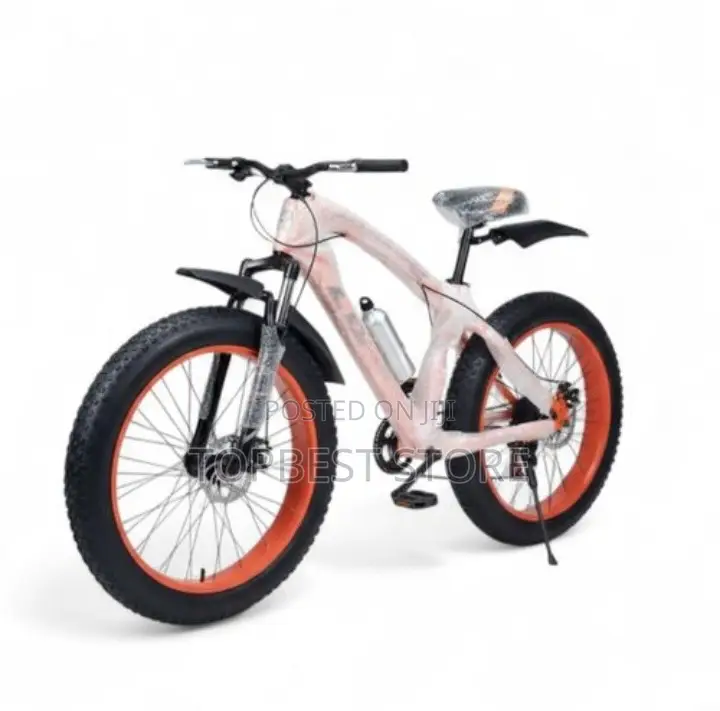 Best Quality Adult Bicycle
