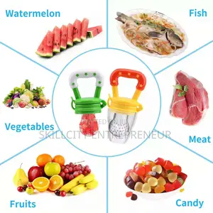 Baby Fruit Feeder Pacifier