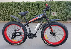 High Quality Adult Bicycle