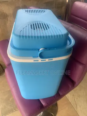 Imported Electric Cooler