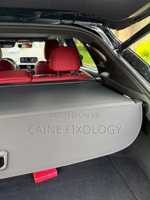 Lexus RX 2020 Black