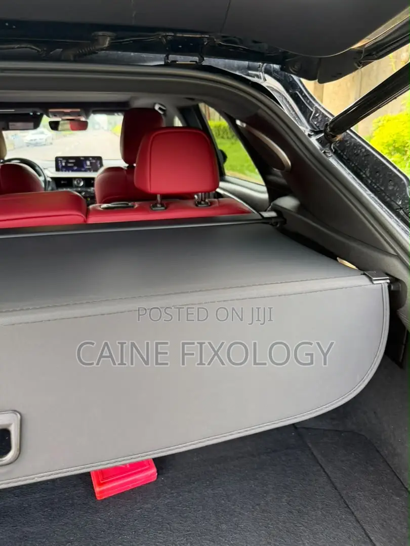 Lexus RX 2020 Black