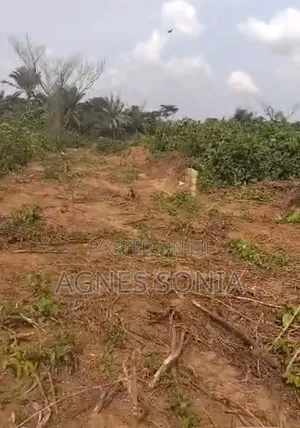 12 Plots of Land for Sale in Mowe