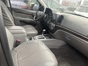 Hyundai Santa Fe 2010 Gray