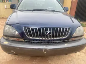 Lexus RX 300 4WD 2002 Gray