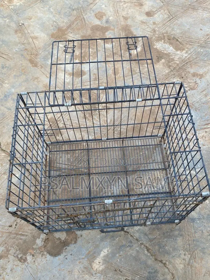 Big Dog Cage
