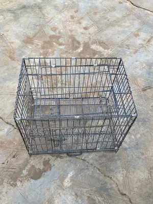 Big Dog Cage
