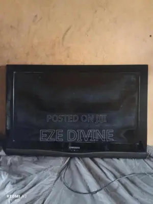 Television