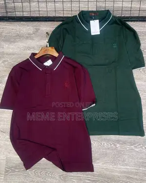 Plain Polo (Designer) in Colors