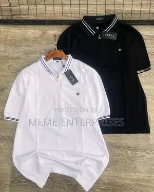 Plain Polo (Designer) in Colors