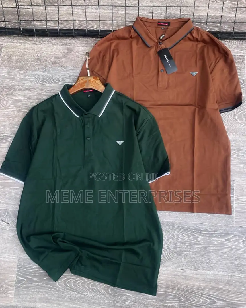 Plain Polo (Designer) in Colors