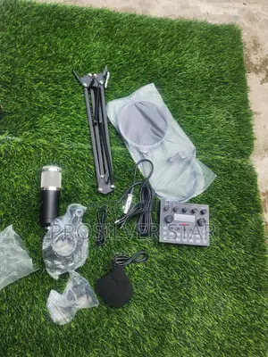 Bm 800 Professional Microphone Recording Kit