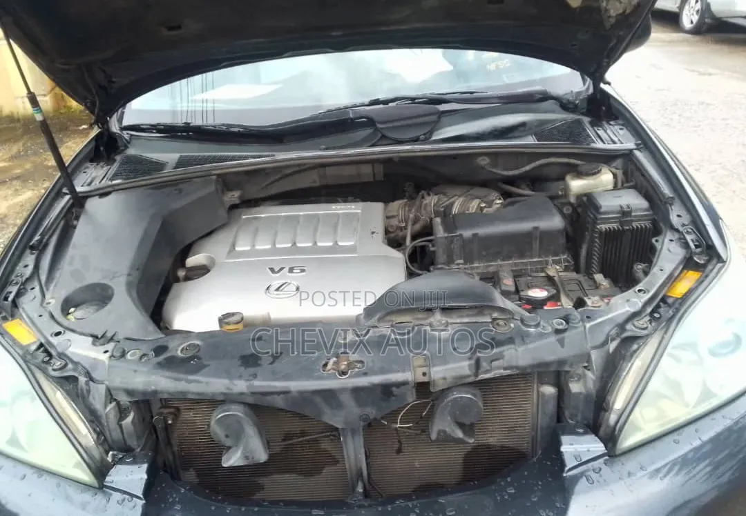 Lexus RX 2008 Gray