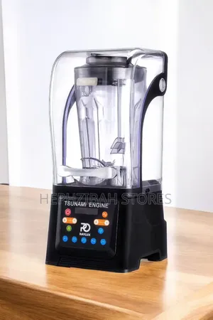 Raylux Tsunami 4.5l Heavy Duty Soundproof Automatic Program Blender