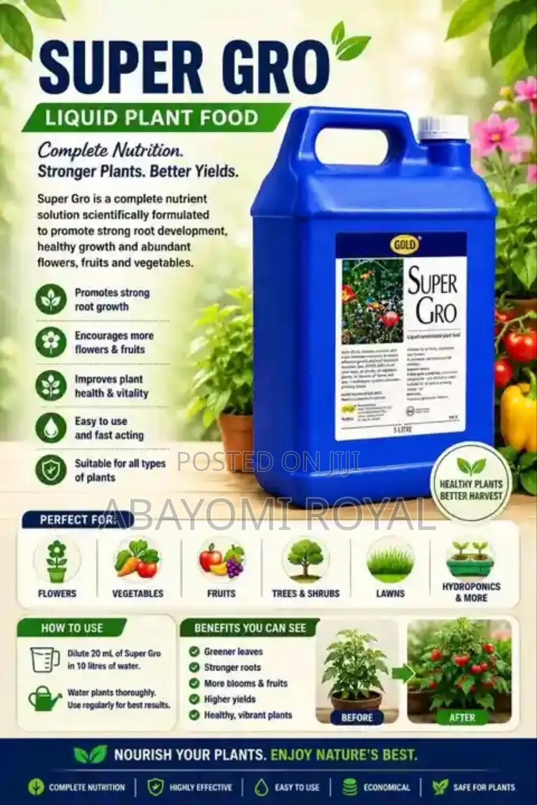 Supplement