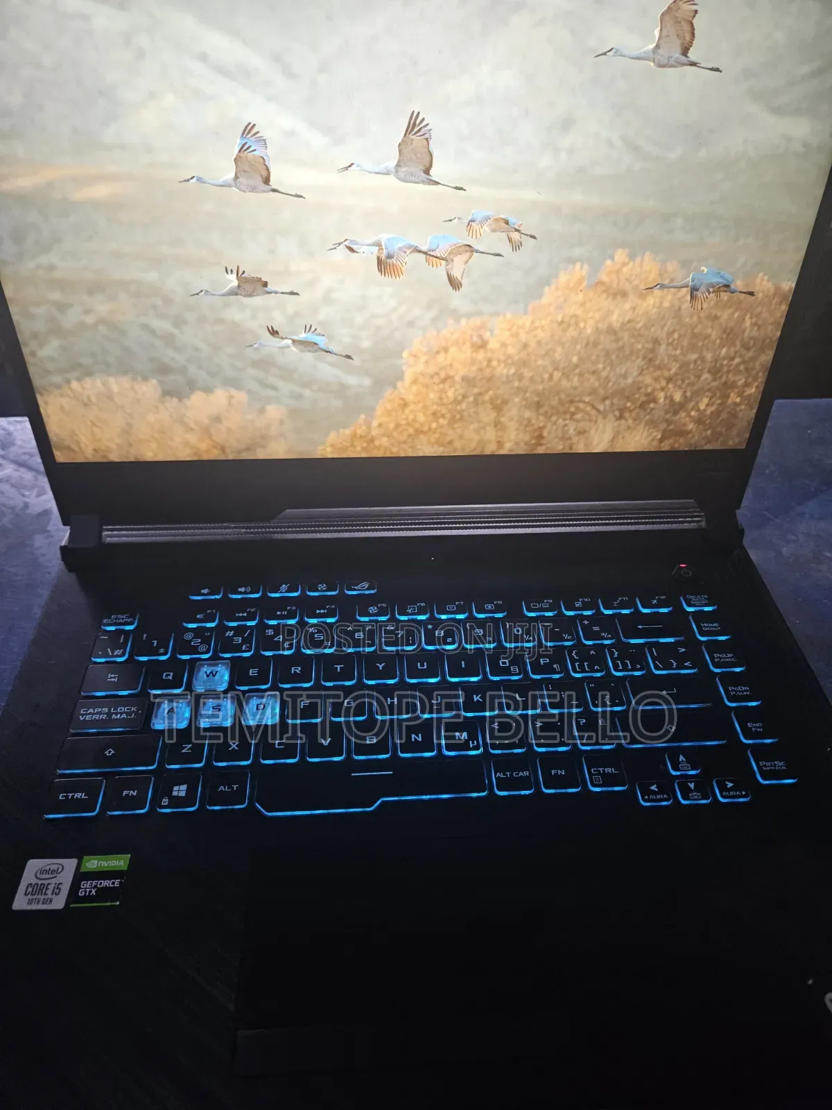 Laptop Asus ROG Strix G15 16GB Intel Core i5 SSD 512GB