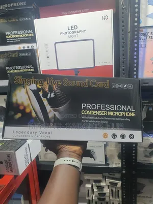 Professional Condenser Microphone – Studio Recording Mic