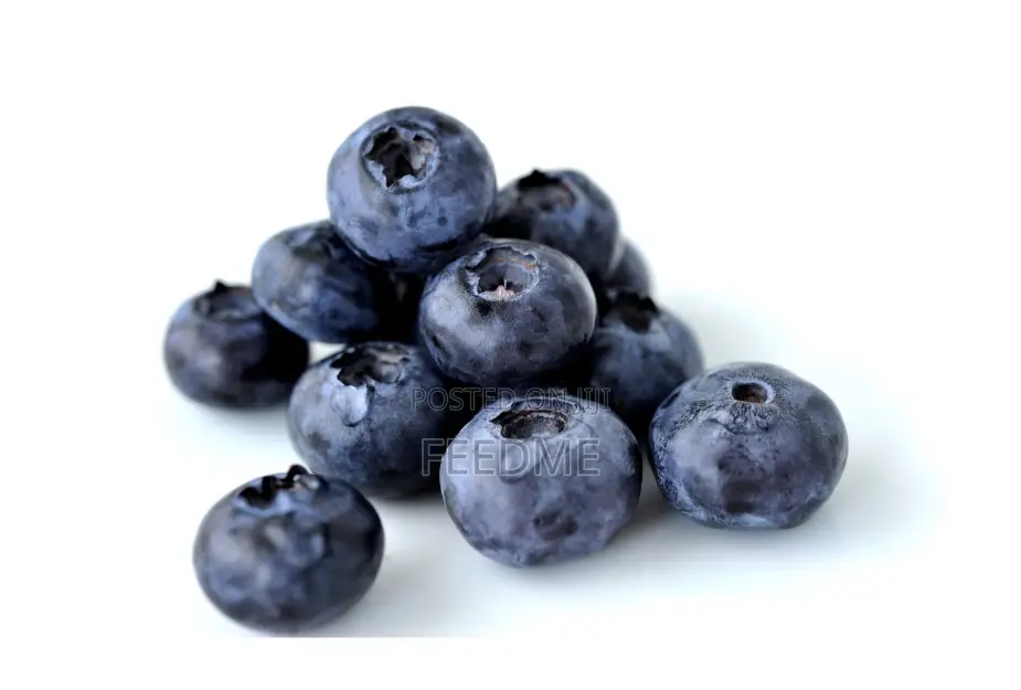 Fresh Blueberry