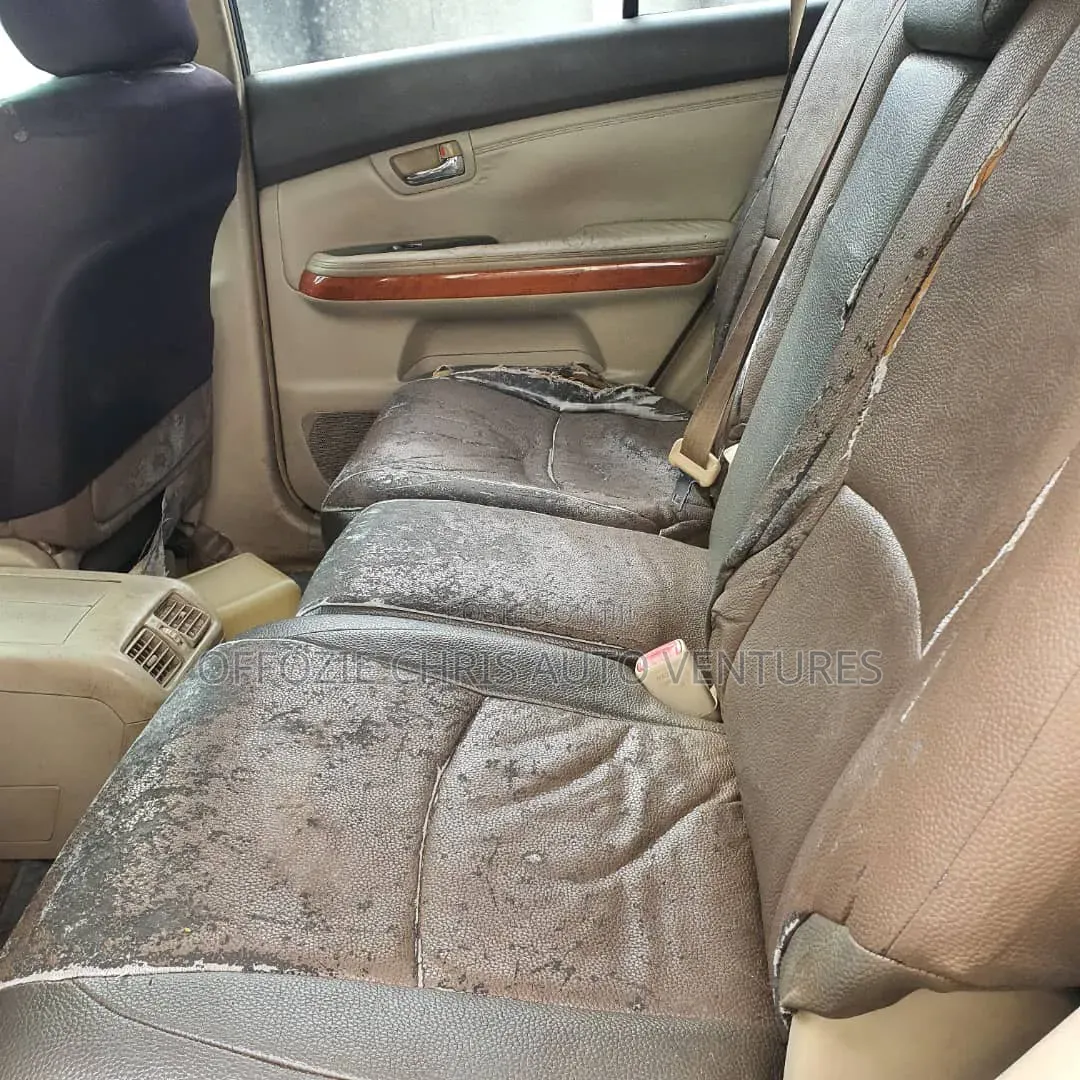 Lexus RX 2007 Silver