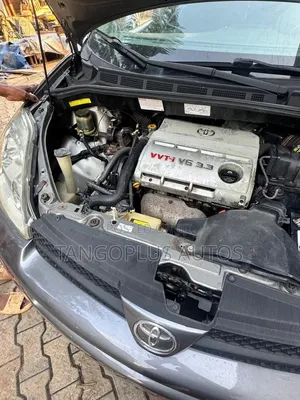 Toyota Sienna 2005 Gray