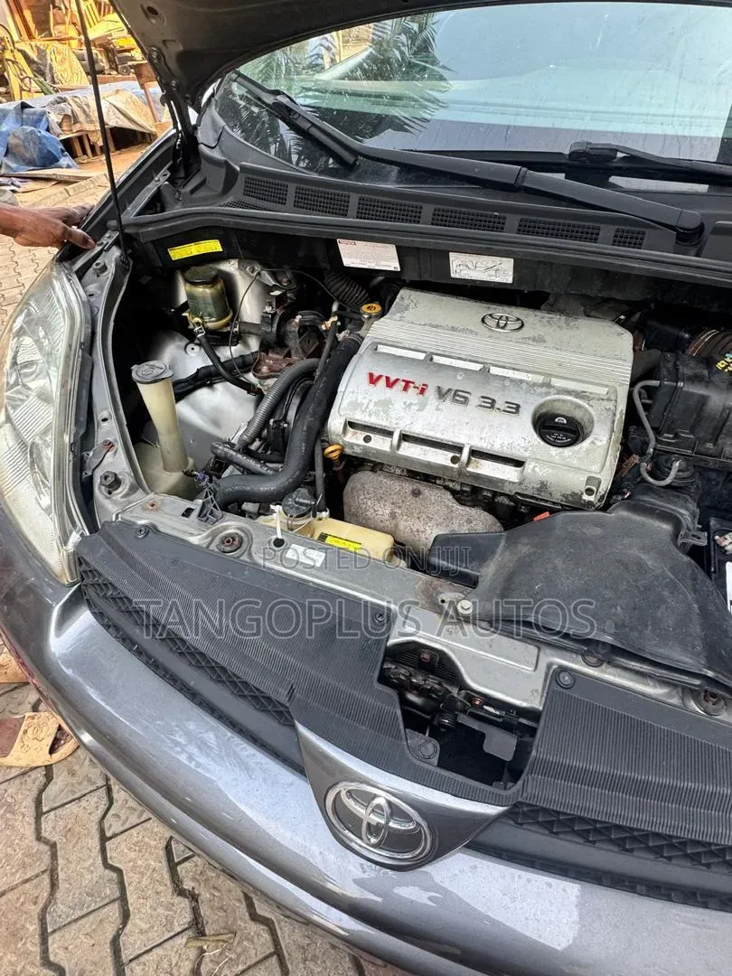 Toyota Sienna 2005 Gray