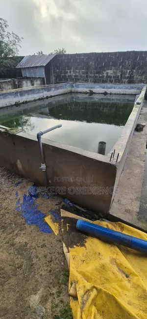 Catfish Farm