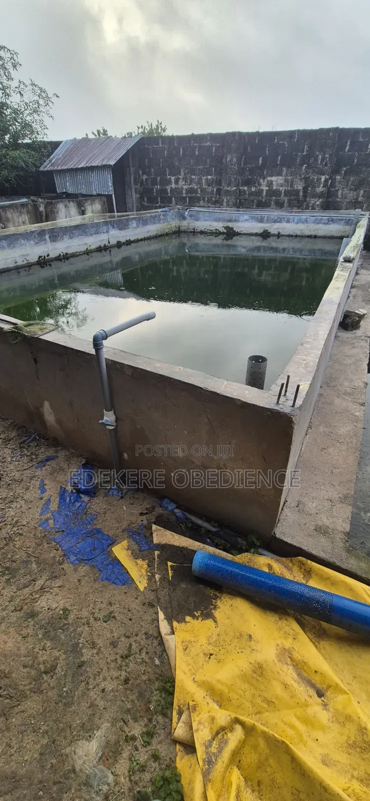 Catfish Farm
