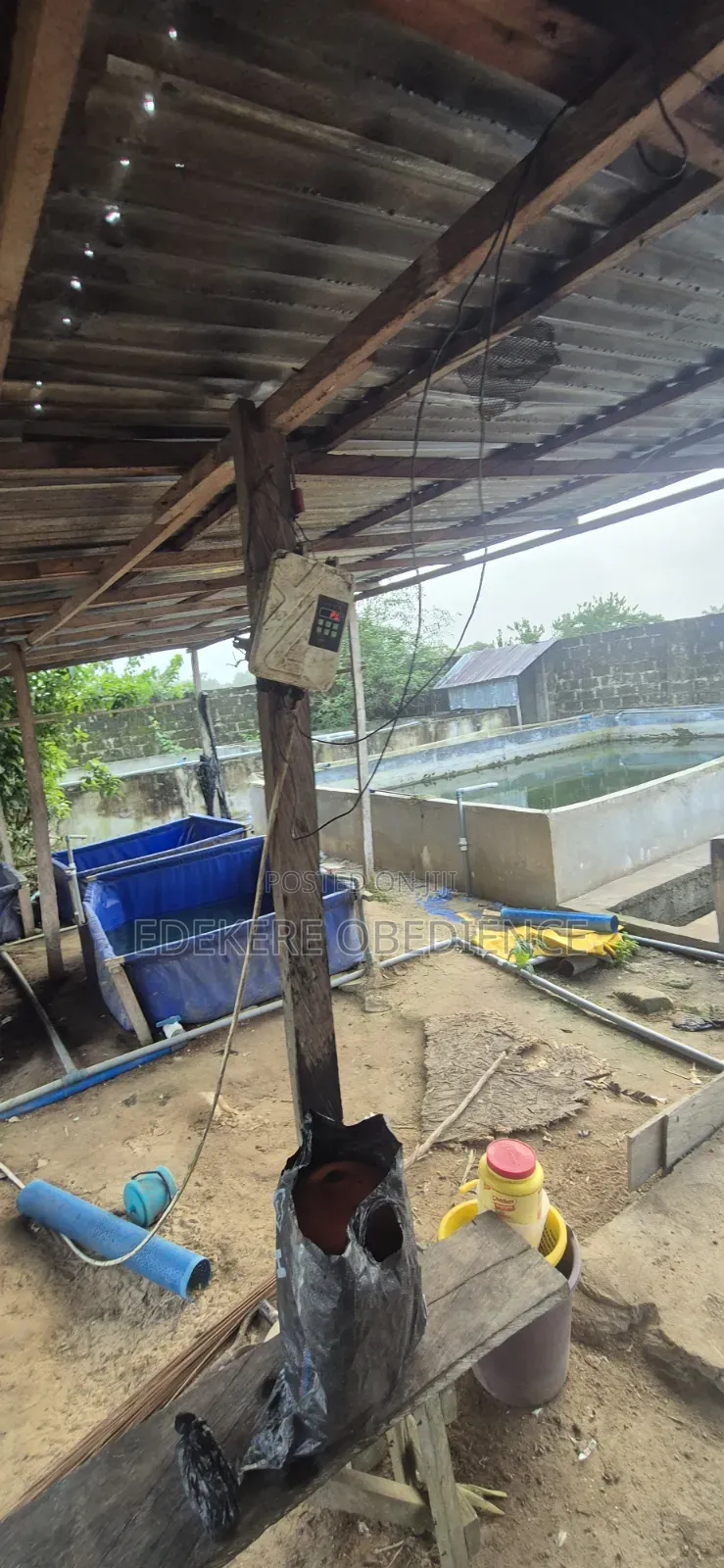 Catfish Farm