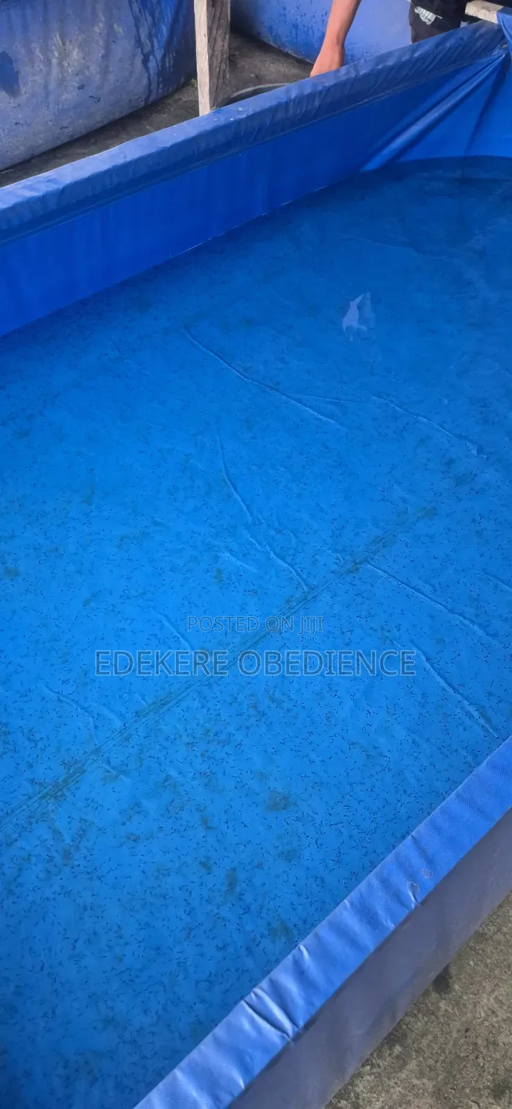 Catfish Farm