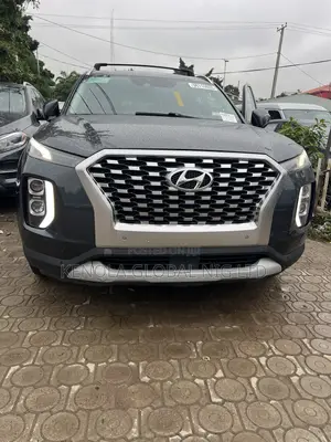 Hyundai Palisade 2020 Gray